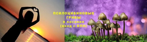 PSILOCYBIN Вязьма